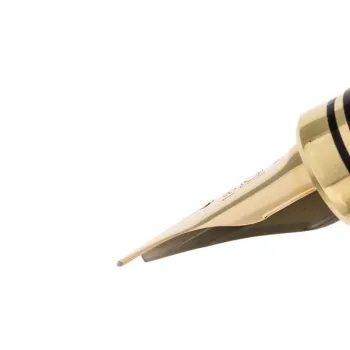 Platinum Changing Autumn Leaves Fountain Pen