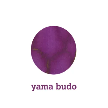 color yama budo