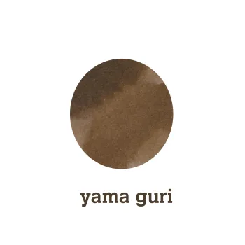 mancha de color yama guri de pilot