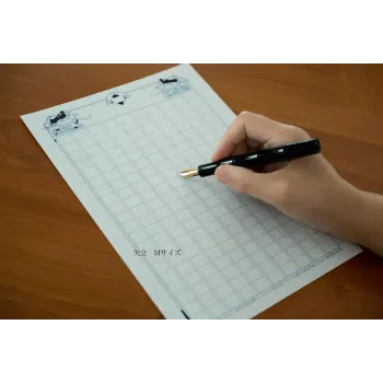 Pluma estilográfica Eboya Yatate Black Medium