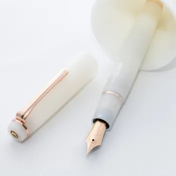 close up of 21k gold nib with weathervane engraving with a vase