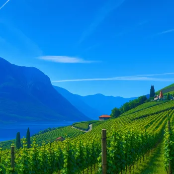 Seishin Cobalt Sky color swatch Nagasawa Kobe 66 fountain pen ink