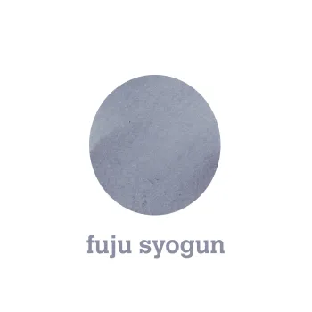 writing sample made with pilot iroshizuku fuyu syogun 15 ml showing a sober and balanced line