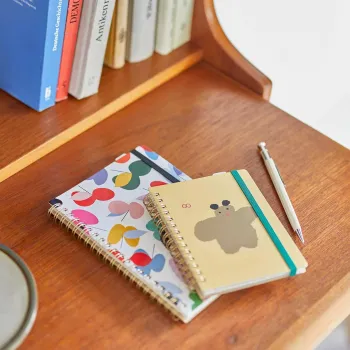 hitotoki note apple notebooks on desk