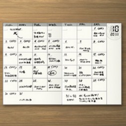 recambio agenda mensual pasaporte abierto mostrando vista de un mes ya escrita