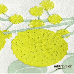 set cartas midori ramo de mimosas 461 Escritorio de diseño