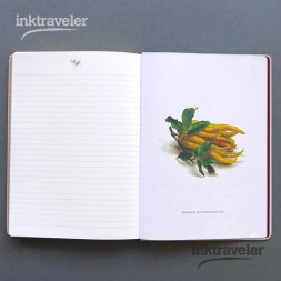 A5 Mujinzo Notebook - Buddha's Hand Design | InkTraveler