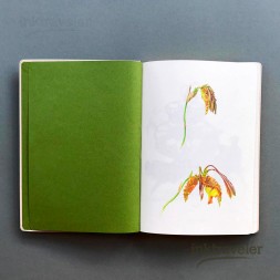 A5 Mujinzo Notebook - Psychopsis Design | InkTraveler